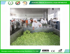 箱式蔬菜烘干機(jī)